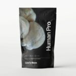 Lion's Mane - 2 PACK
