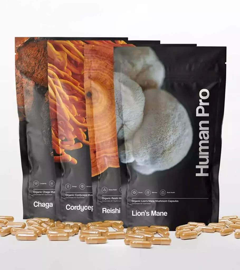 Mushroom Supplement Bundle