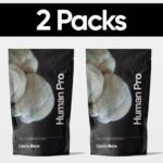 Lion's Mane - 2 Packs