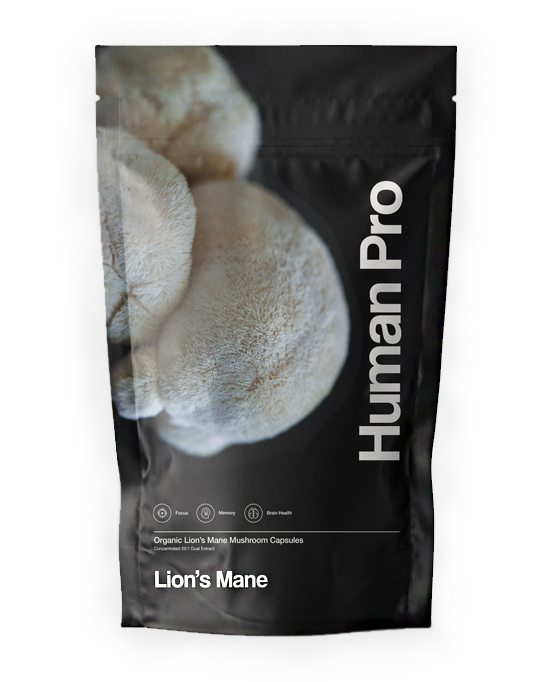 Lions Mane Home2.png