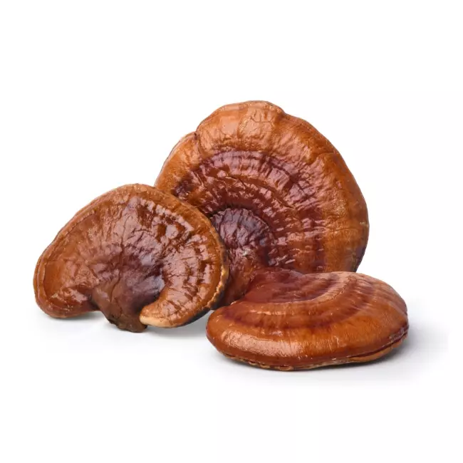 Optimiere dein Wohlbefinden mit Reishi
