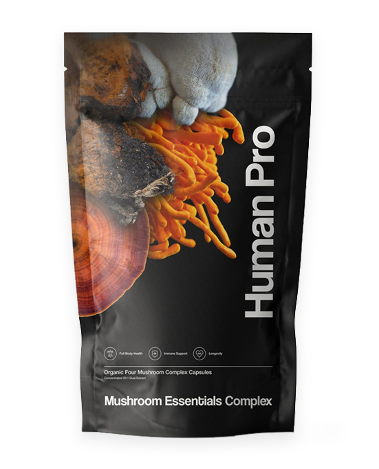 Mushroom Complex Home 1.png