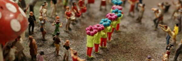 Fungi Festivals Around the Globe