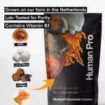 Mushroom Essentials Complex - 1 Pack