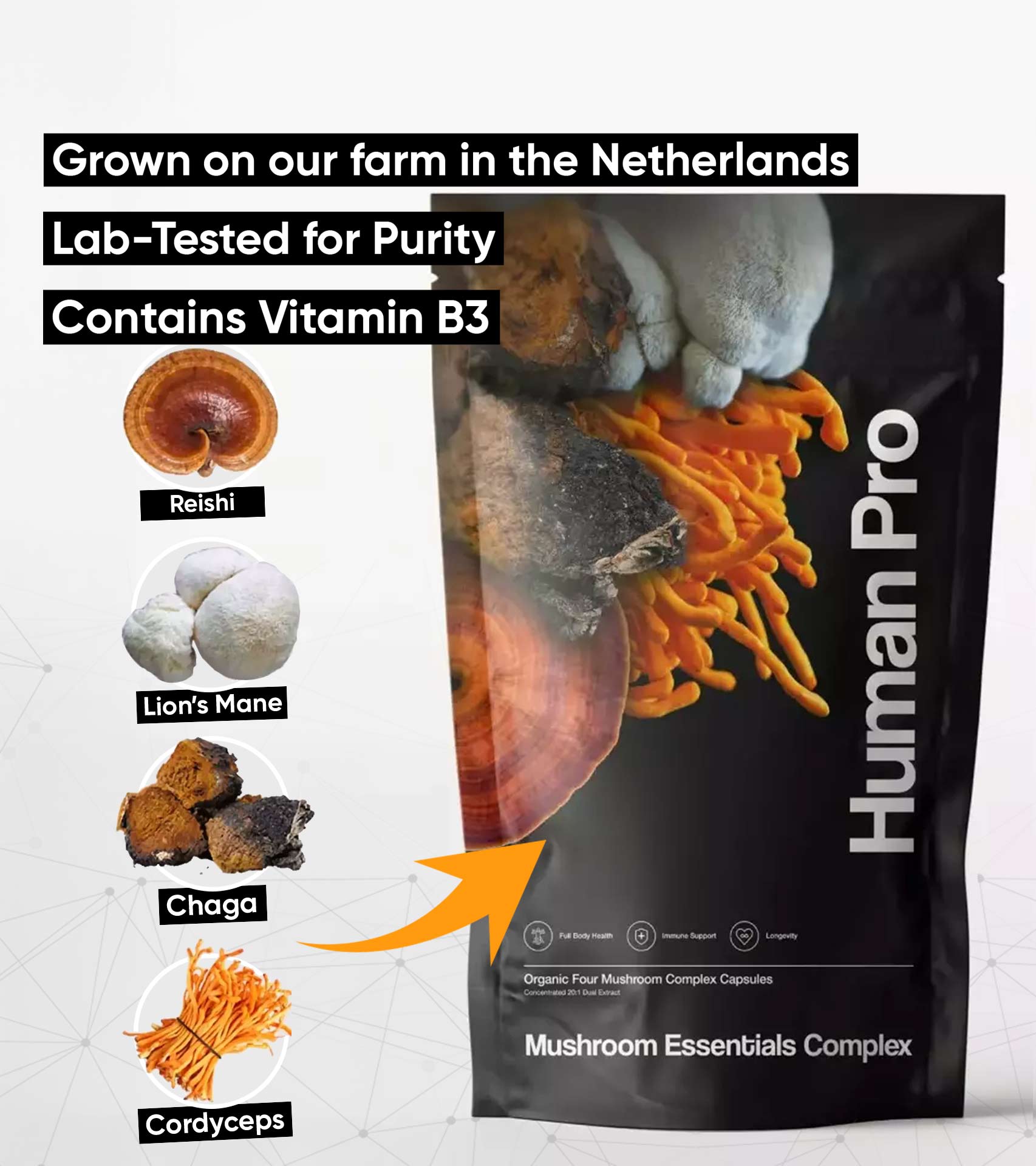 Mushroom Essentials Complex