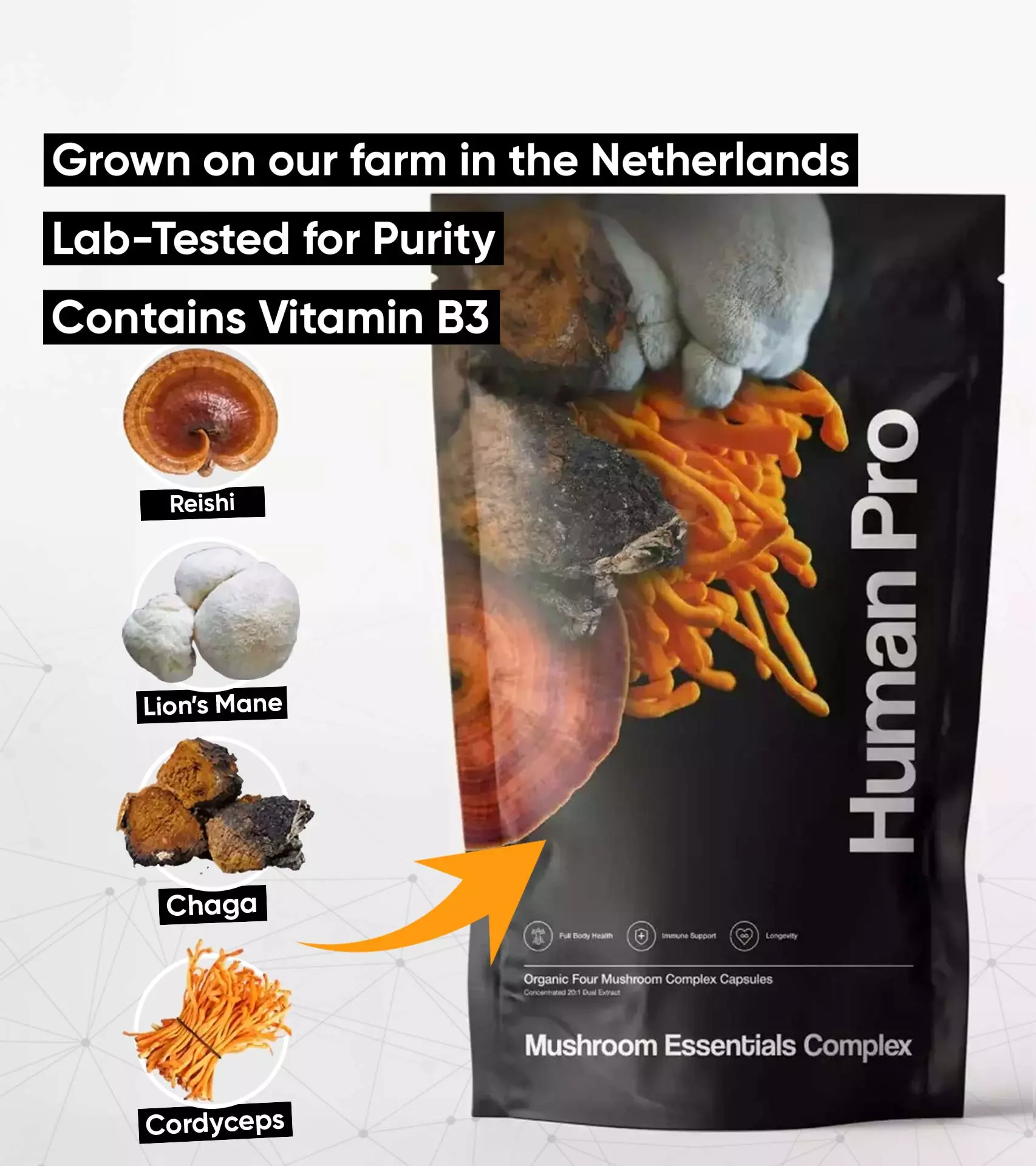 Mushroom Essentials Complex