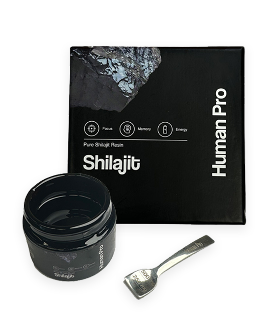 Shilajit Home3