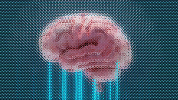 Top Discoveries in Neuroscience (2010-2025)